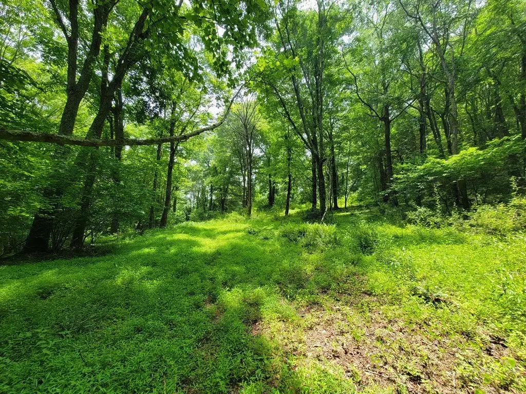 Picture 23