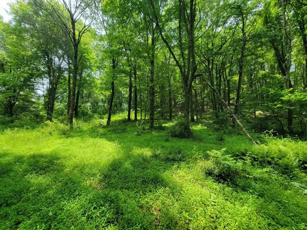 Picture 4