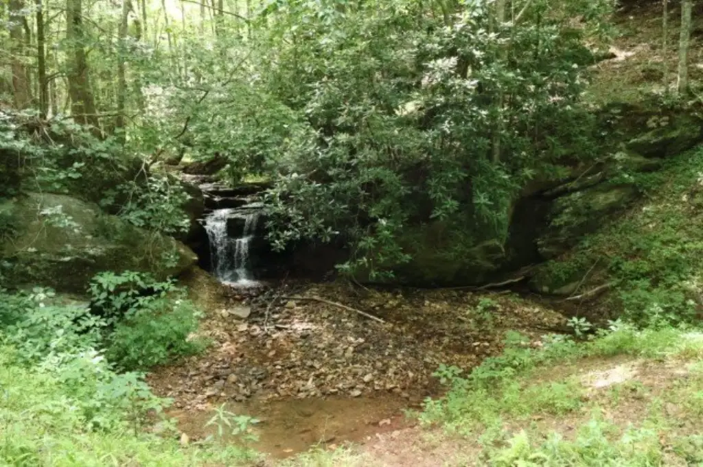 Picture 17