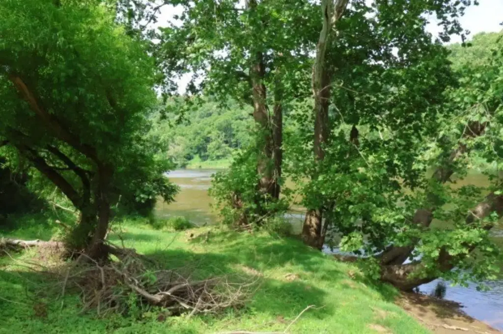 Picture 19