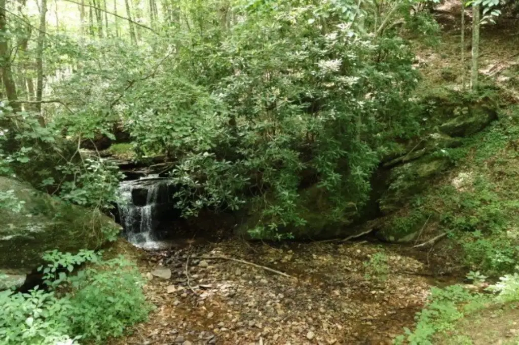 Picture 16