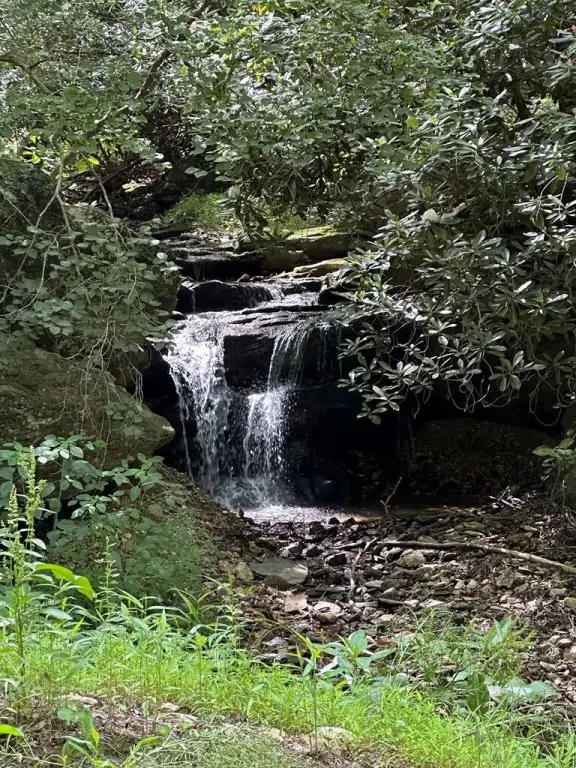Picture 15