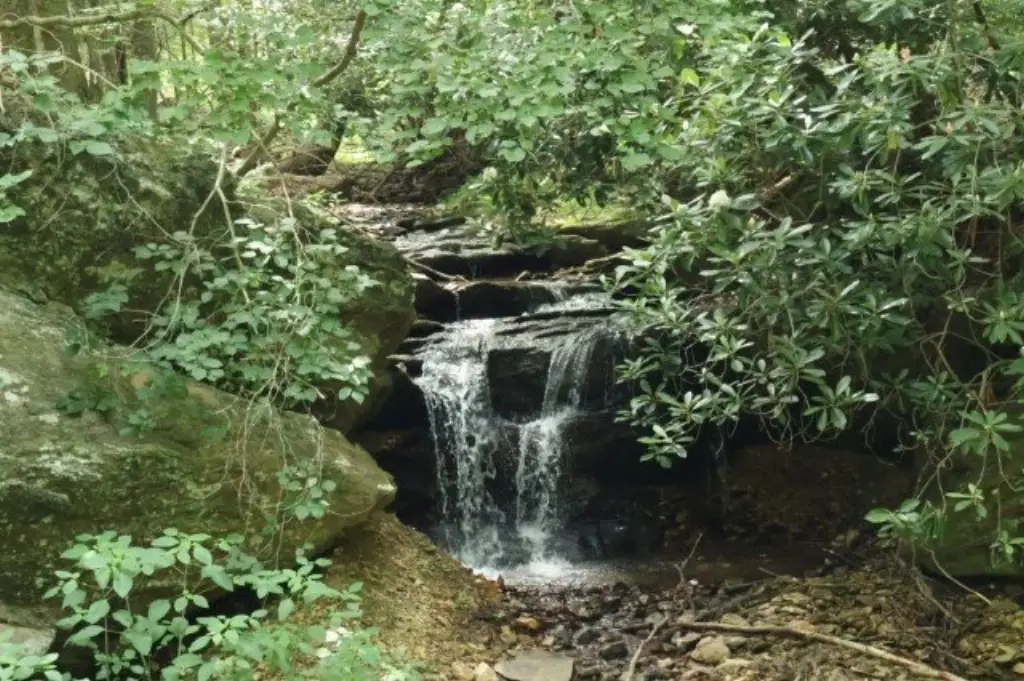 Picture 18