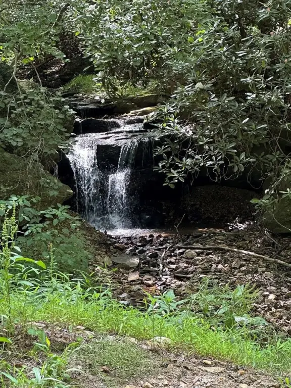 Picture 14