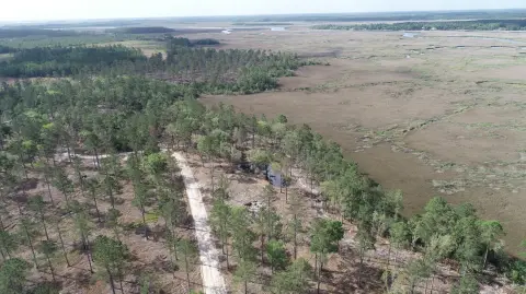 Waverly Vacant Land Legacy Estate