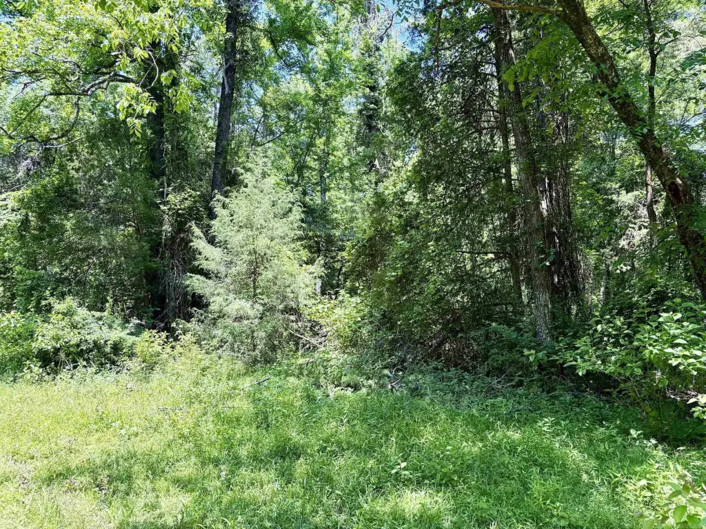 Picture 38