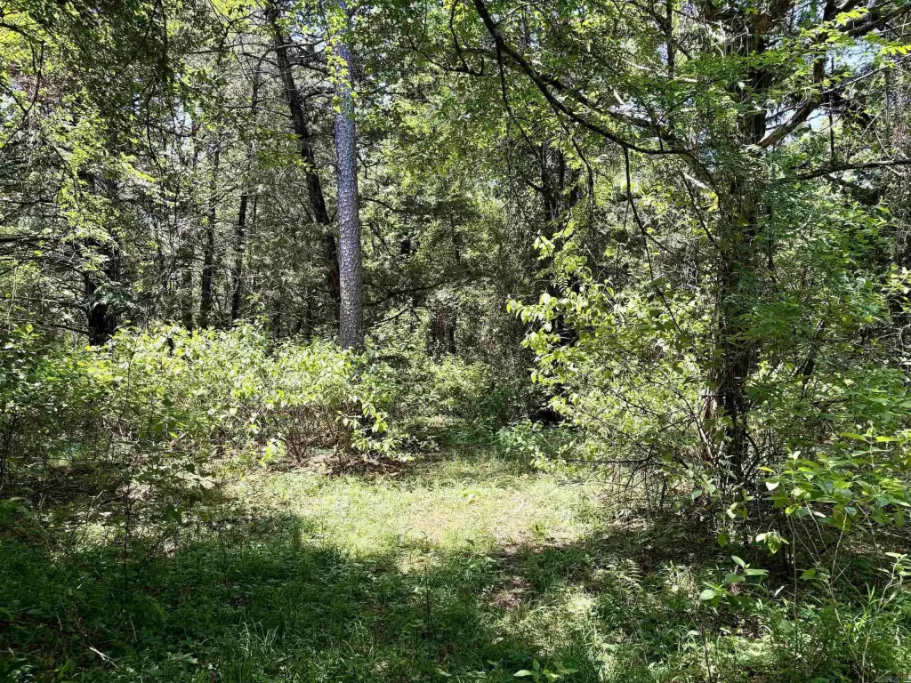 Picture 23