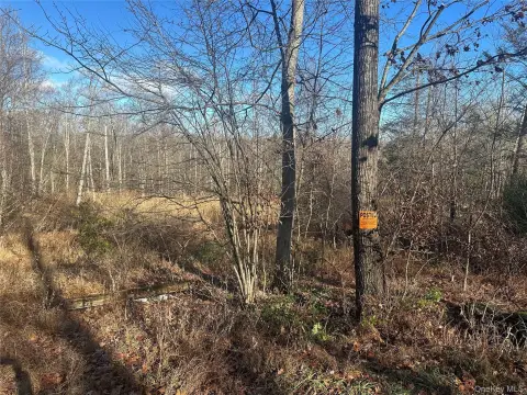 8-Acre Land Parcel in Ellenville
