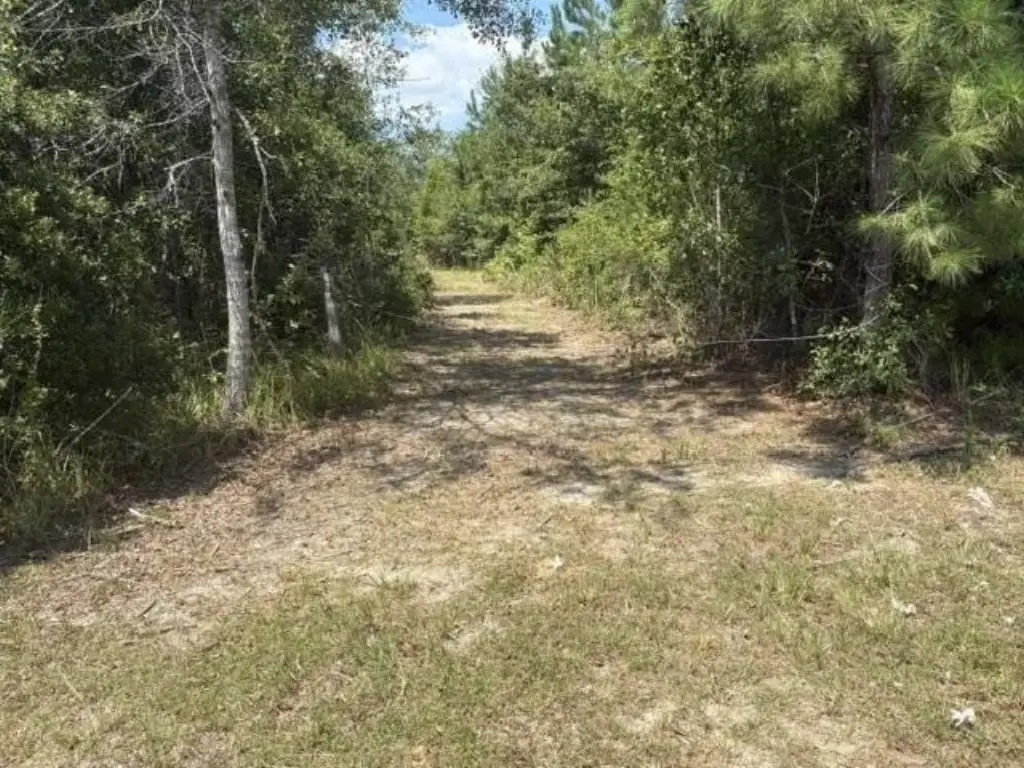 Picture 7