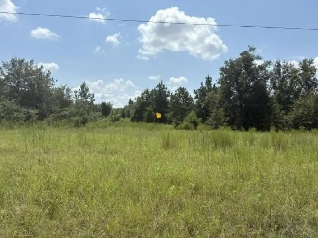 Picture 4
