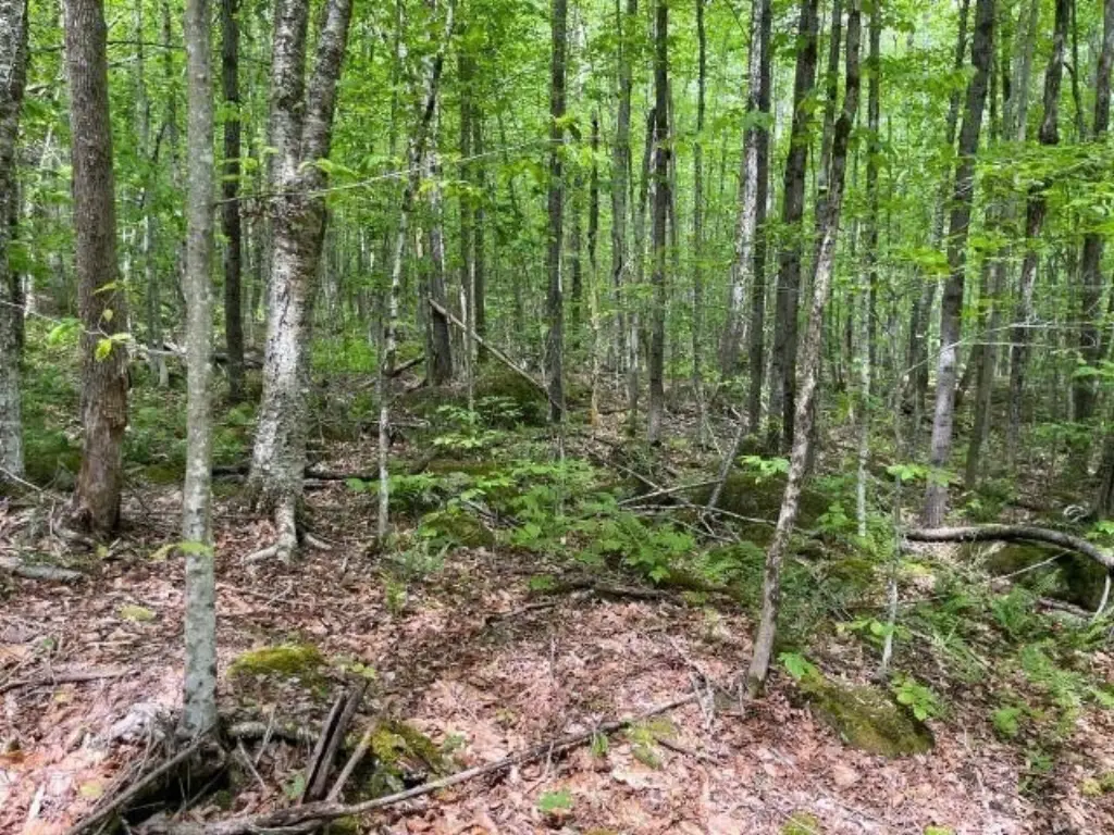 Picture 3
