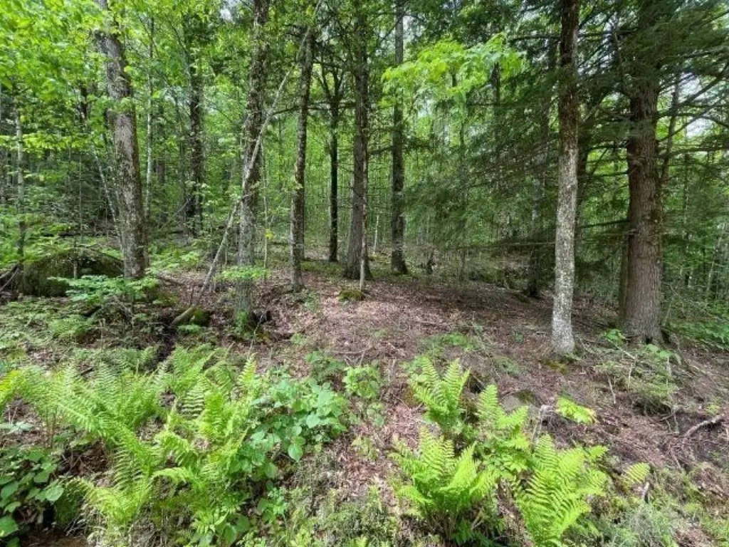 Picture 8