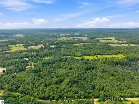 Wooded Hunting Land