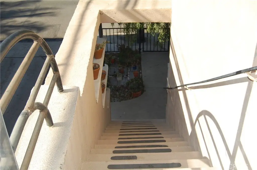 Picture 8