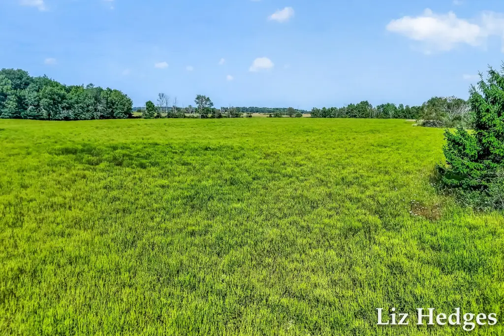 Picture 10