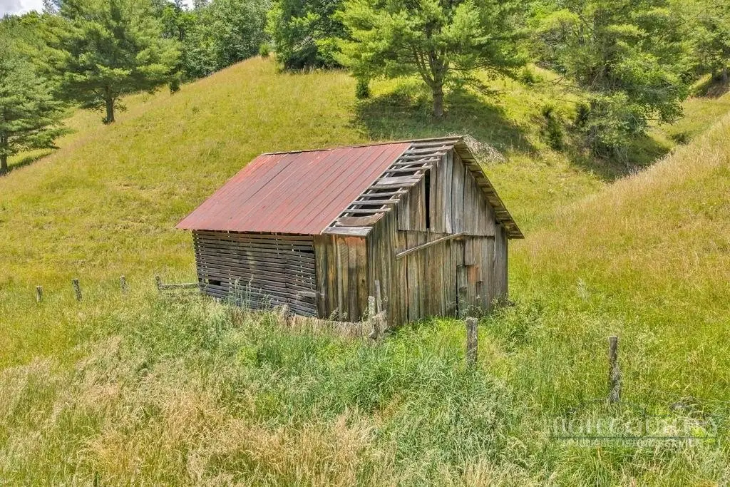 Picture 9