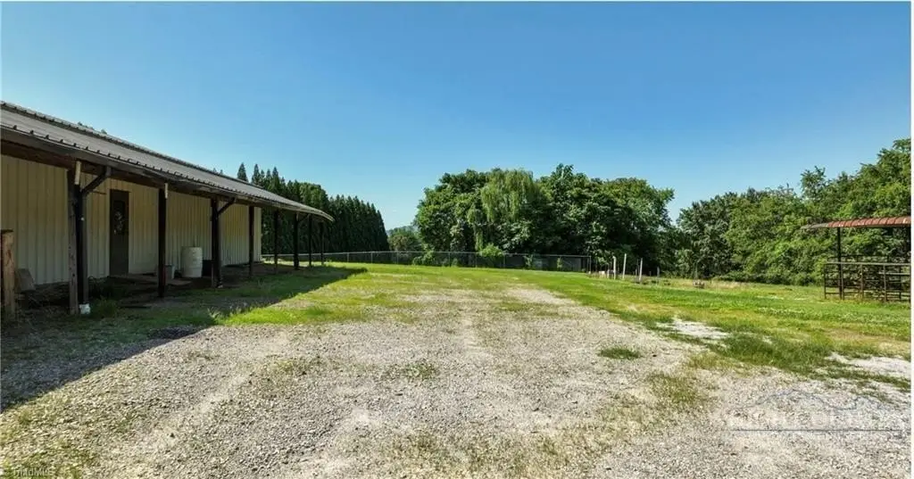 Picture 24