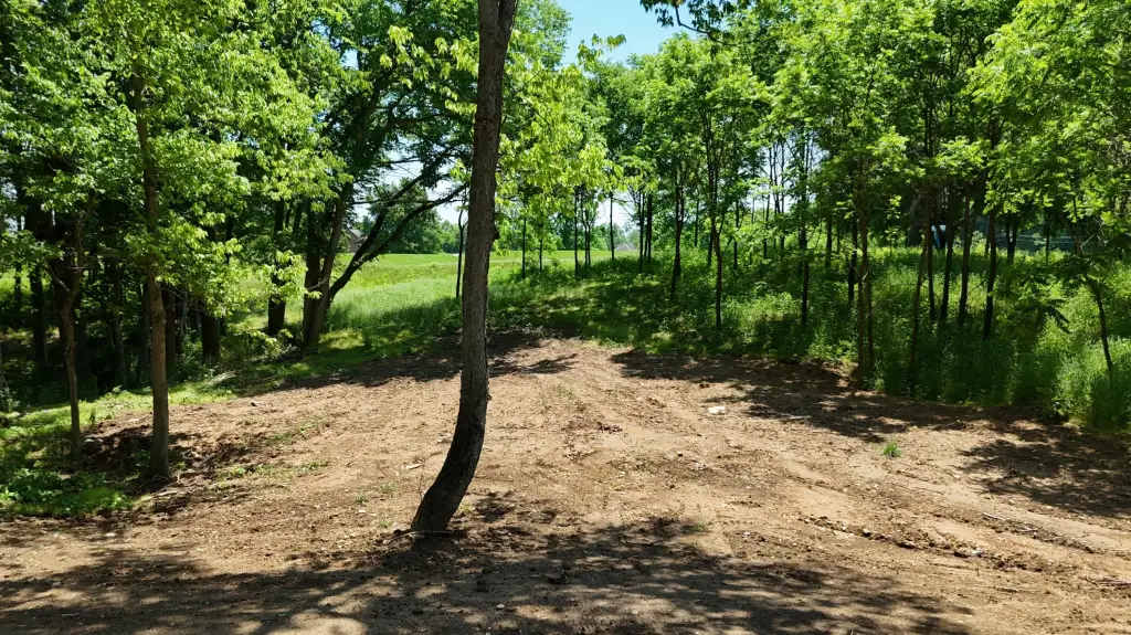 Picture 5