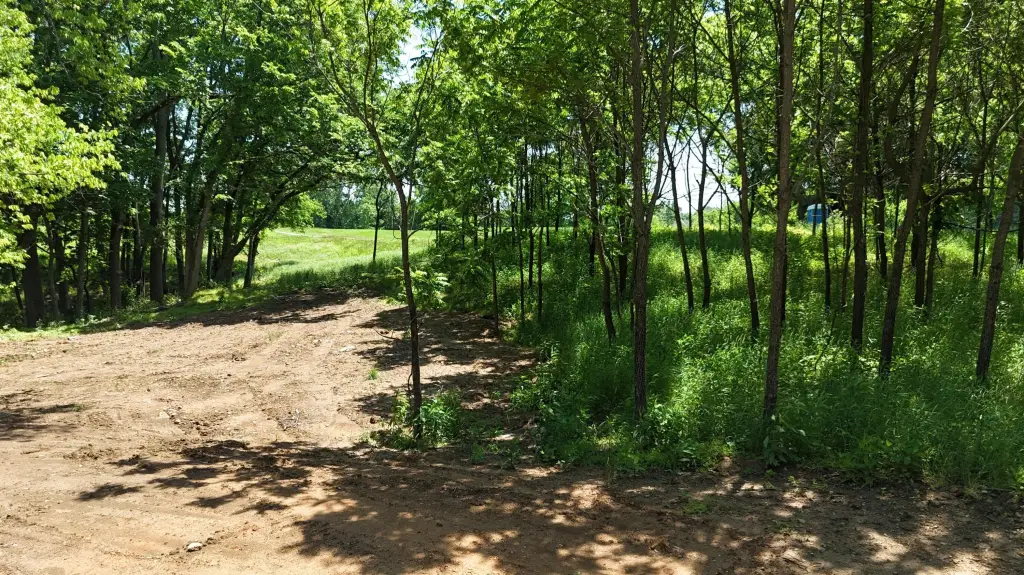 Picture 6