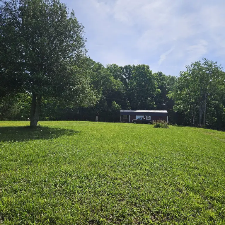 Picture 6