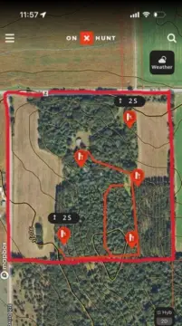 40 Acres Hunting Land with Cabin