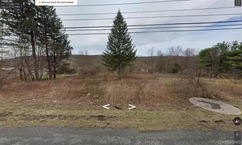 Port Jervis Land Opportunity