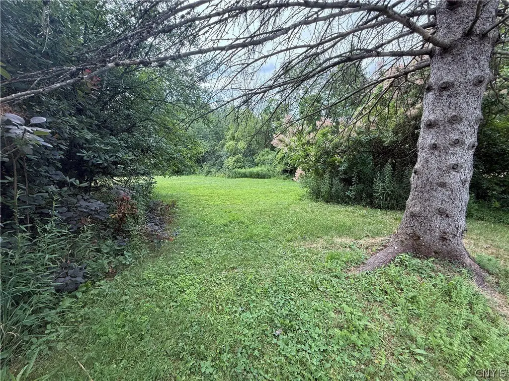 Picture 12
