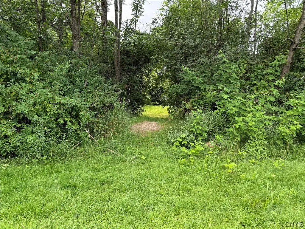 Picture 15