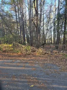 Residential Lot in Brunson, SC