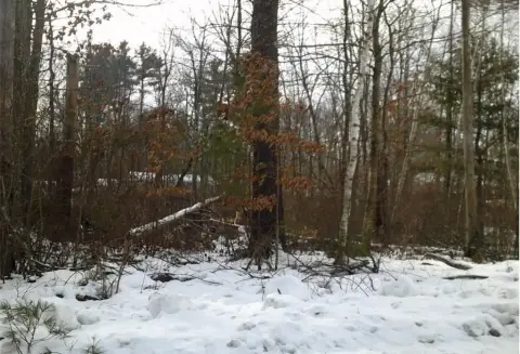 Residential Land Near Rainbow Lake