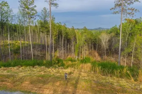 Mountain View Lot in Talking Rock