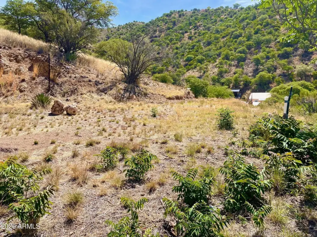 Picture 15