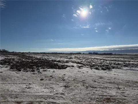 146 Acres of Farmland