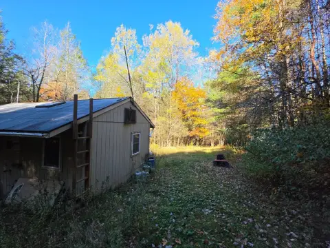 Wooded Land with Cabin
