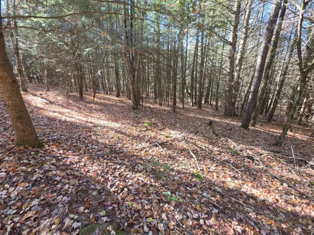 Picture 12
