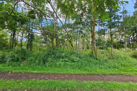 Vacant Land in Nanawale Estates