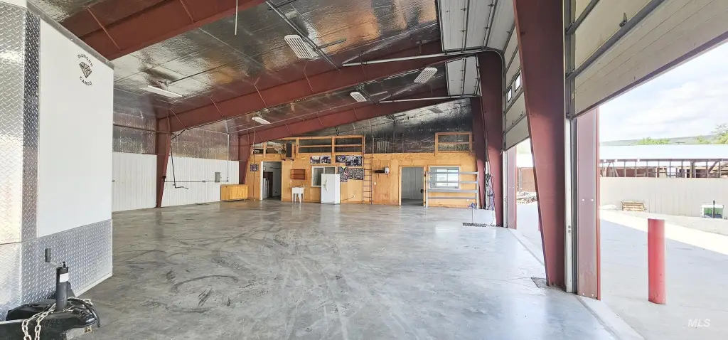 Picture 5