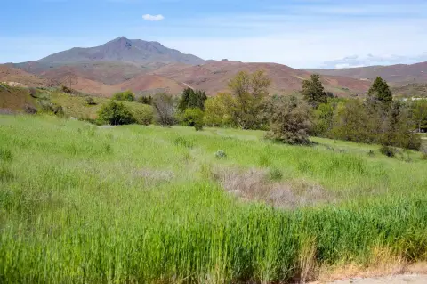 5-Acre Vacant Land Opportunity