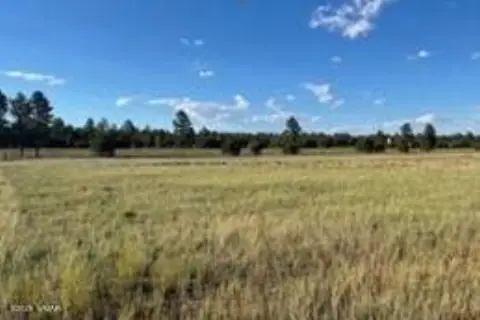 Commercial Land in Bison Ranch
