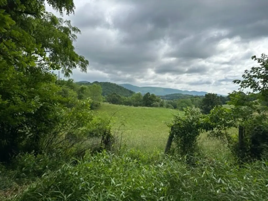 Picture 25