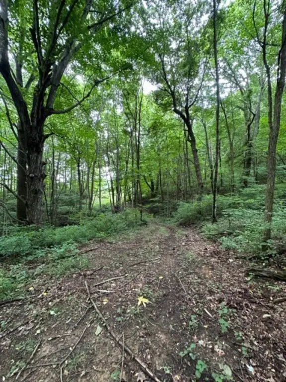 Picture 22