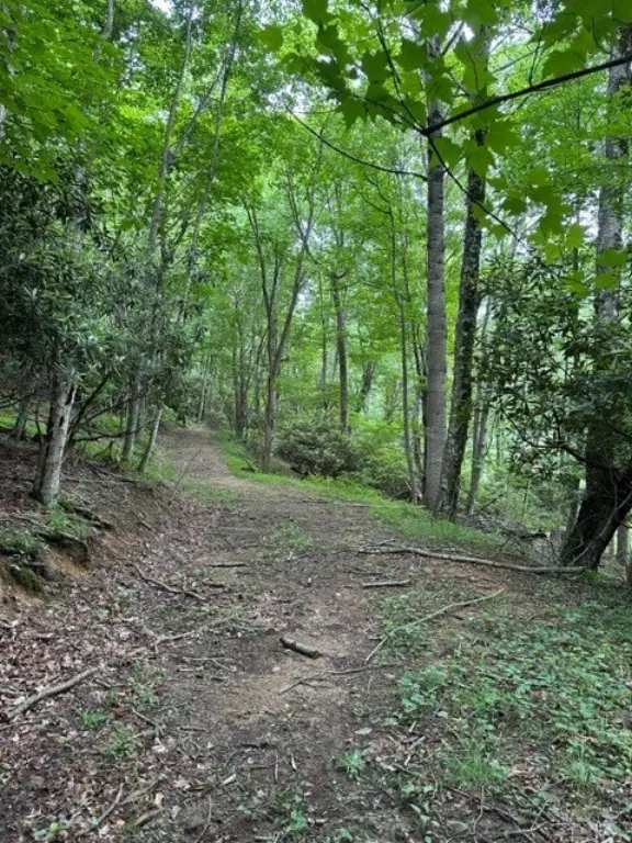 Picture 31
