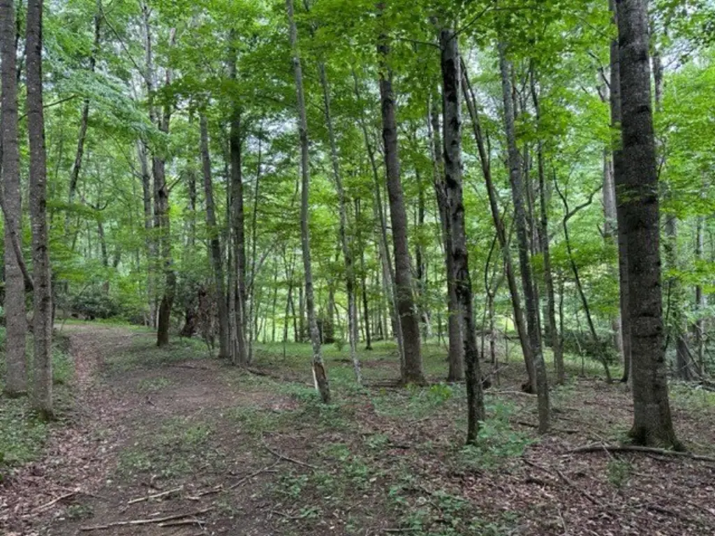 Picture 30