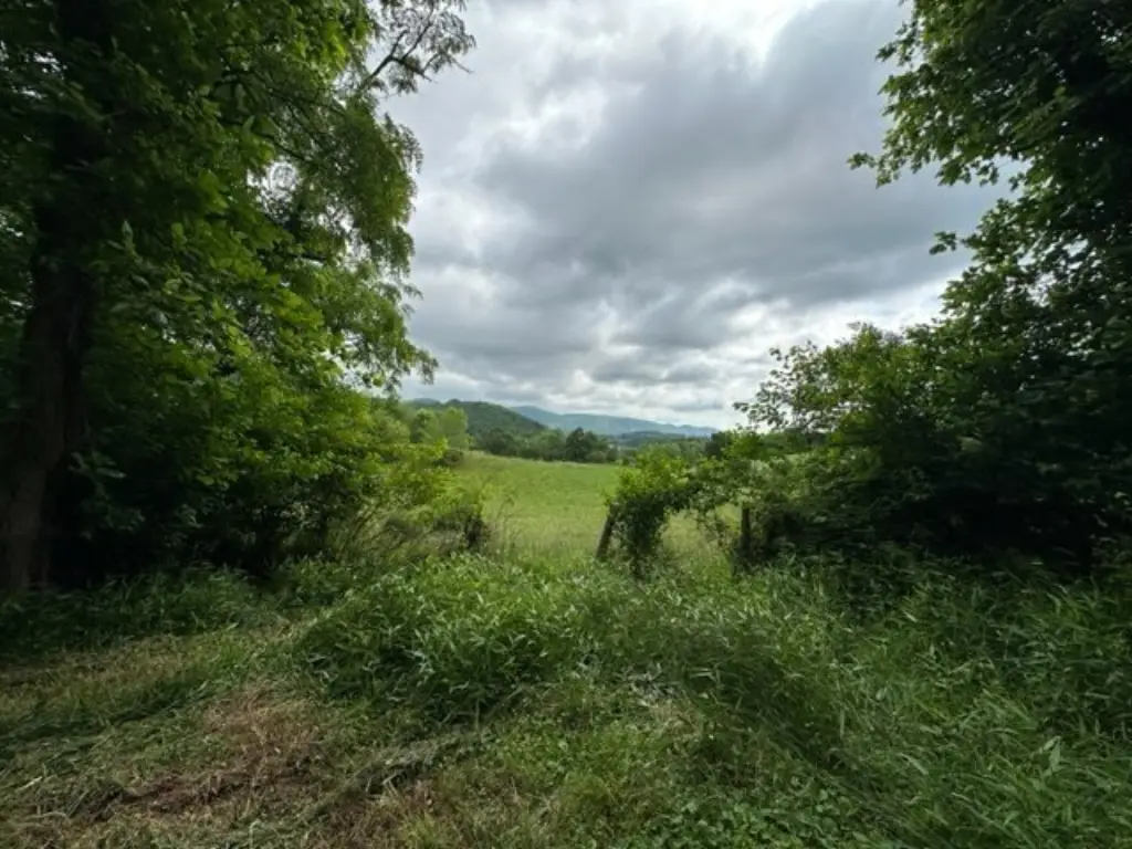 Picture 24