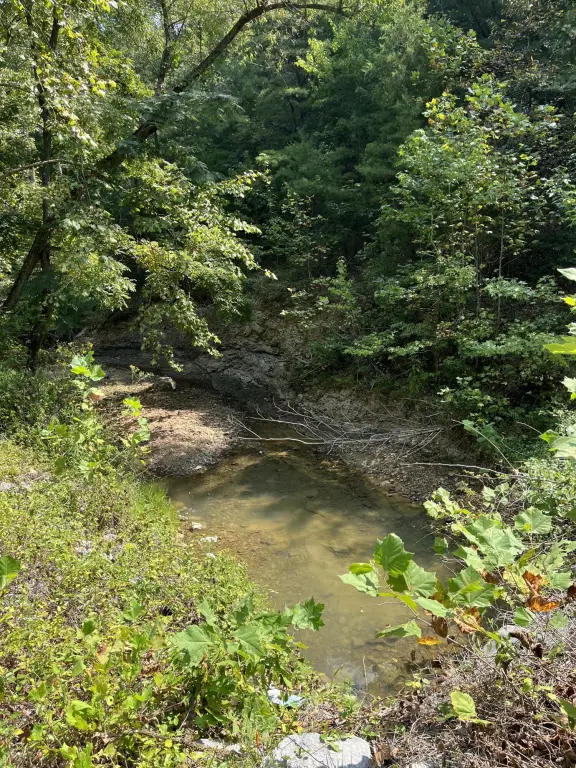 Picture 4