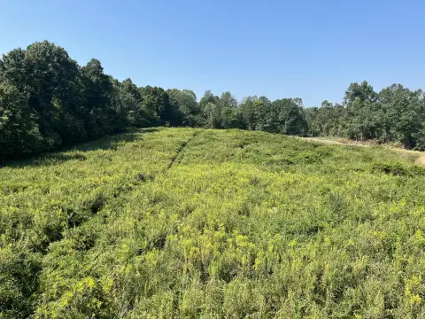 Recreation Land with Trails