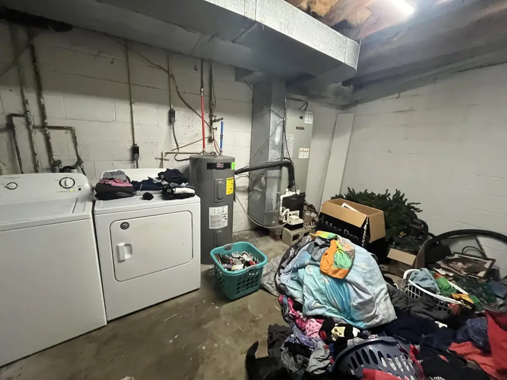 Picture 21