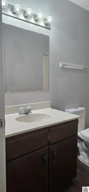 Picture 41