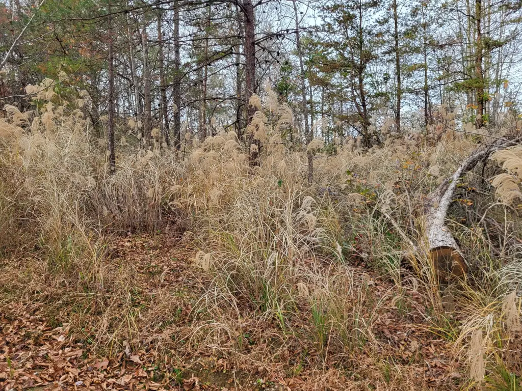 Picture 25