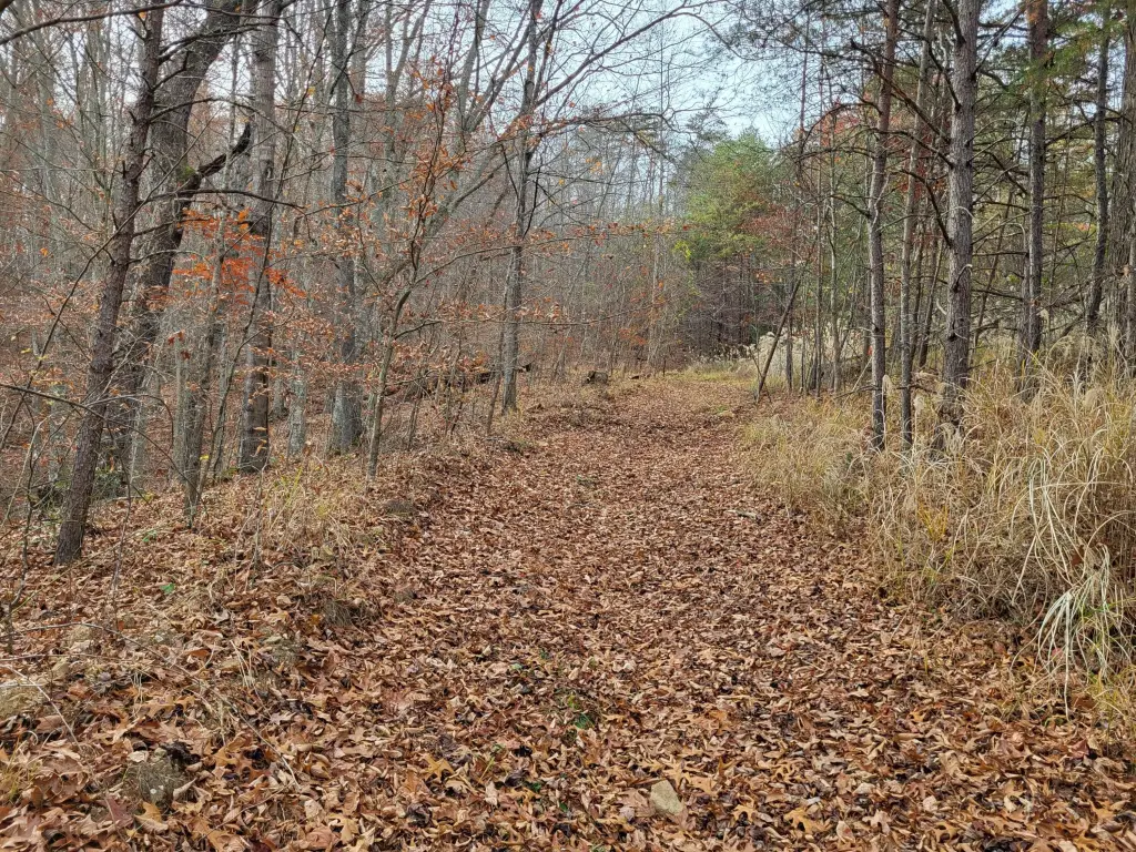 Picture 21